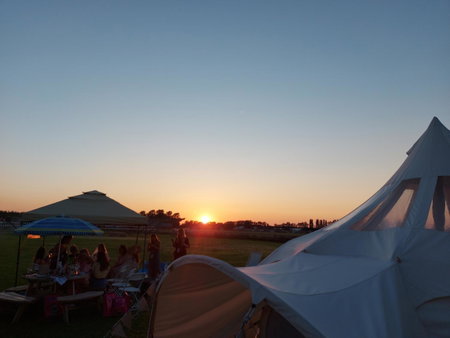 Glamping with Llamas, Wisbech, United Kingdom