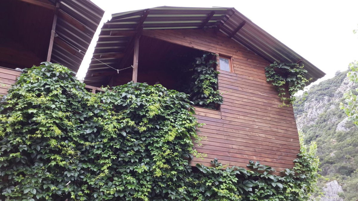 Hotel · Olympos Camlık Pension, Olympos