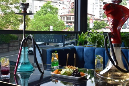 Hotel Anatolia, Bursa, Turkey