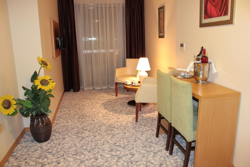 Hotel Osaka Airport, Istanbul, Turkey