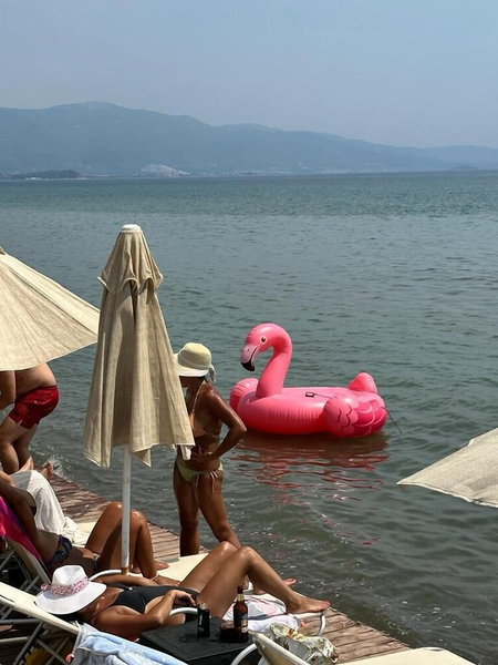 Apelles Butik Otel, Seferihisar, Turkey