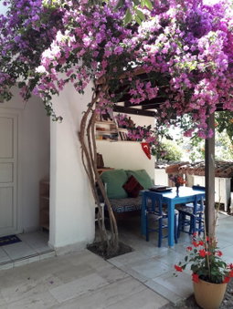 Paradise Gümüşlük, Gumusluk, Turkey