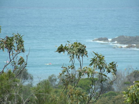 Benji's By The Sea, Scotts Head, Australia