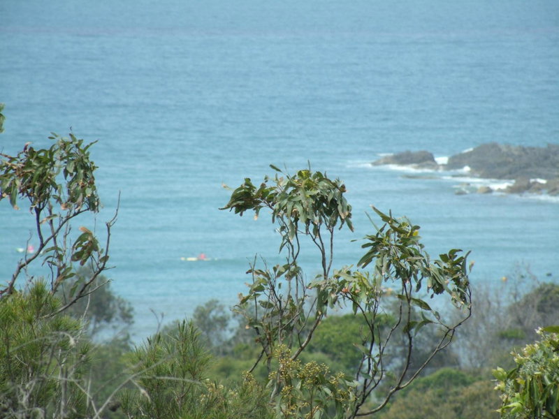 Benji's By The Sea, Scotts Head, Australia