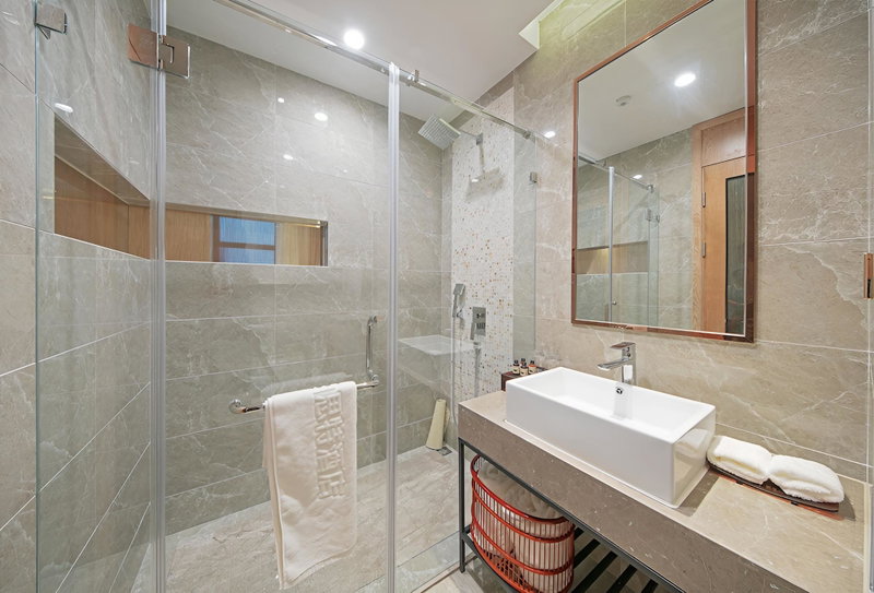 Novotel Shanghai International Tourism Zone North, Shanghai, China