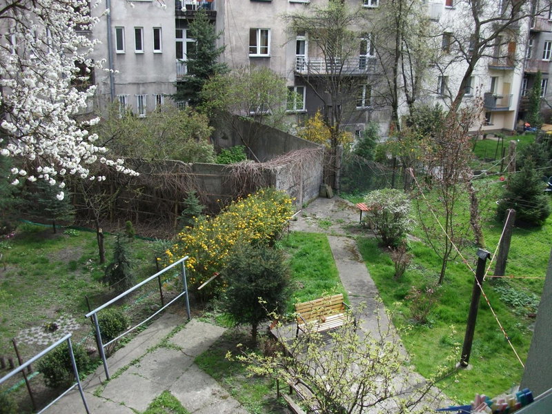 Dex, Kraków, Poland
