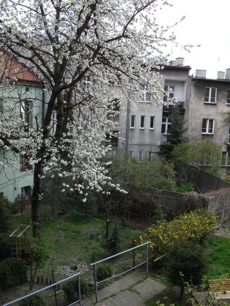 Dex, Kraków, Poland