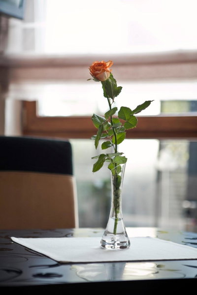 M Hotel Sosnowiec, Sosnowiec, Poland