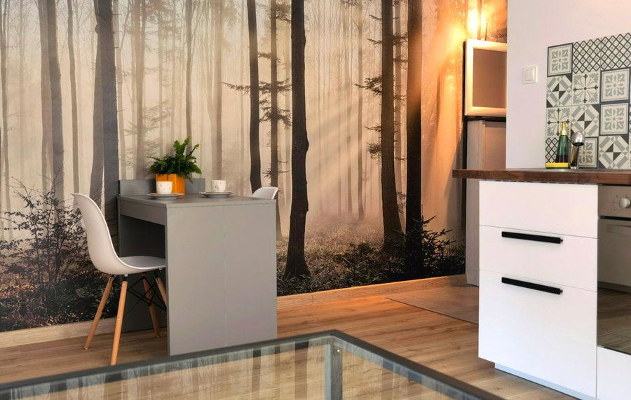 Apartament Sosnowa, Puławy, Poland