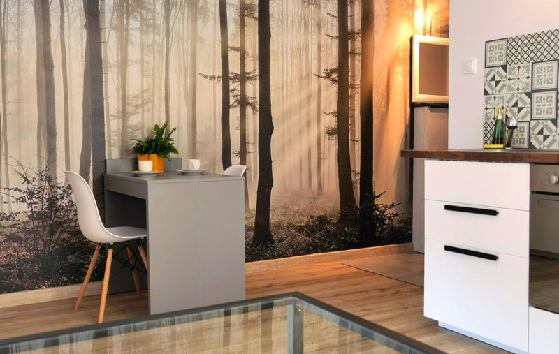 Apartament Sosnowa, Puławy, Poland