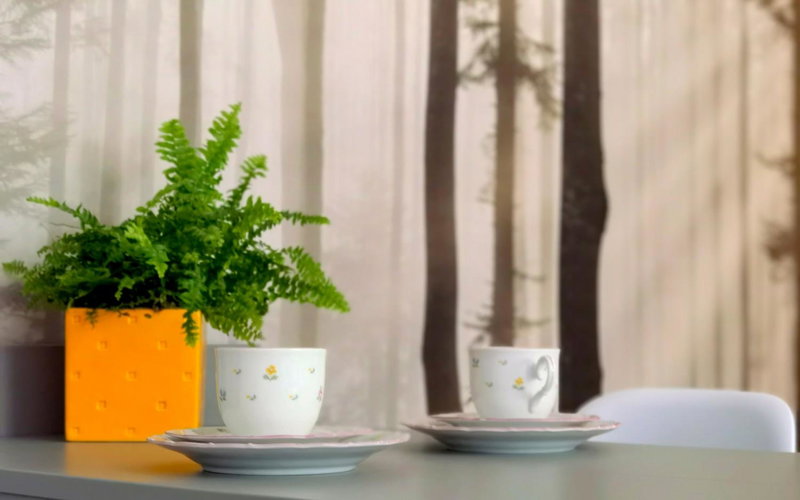 Apartament Sosnowa, Puławy, Poland