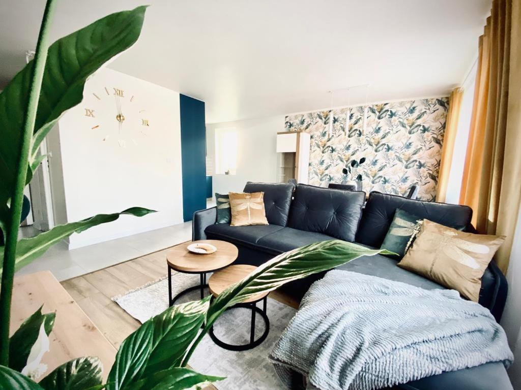 Apartament Króla, Poland
