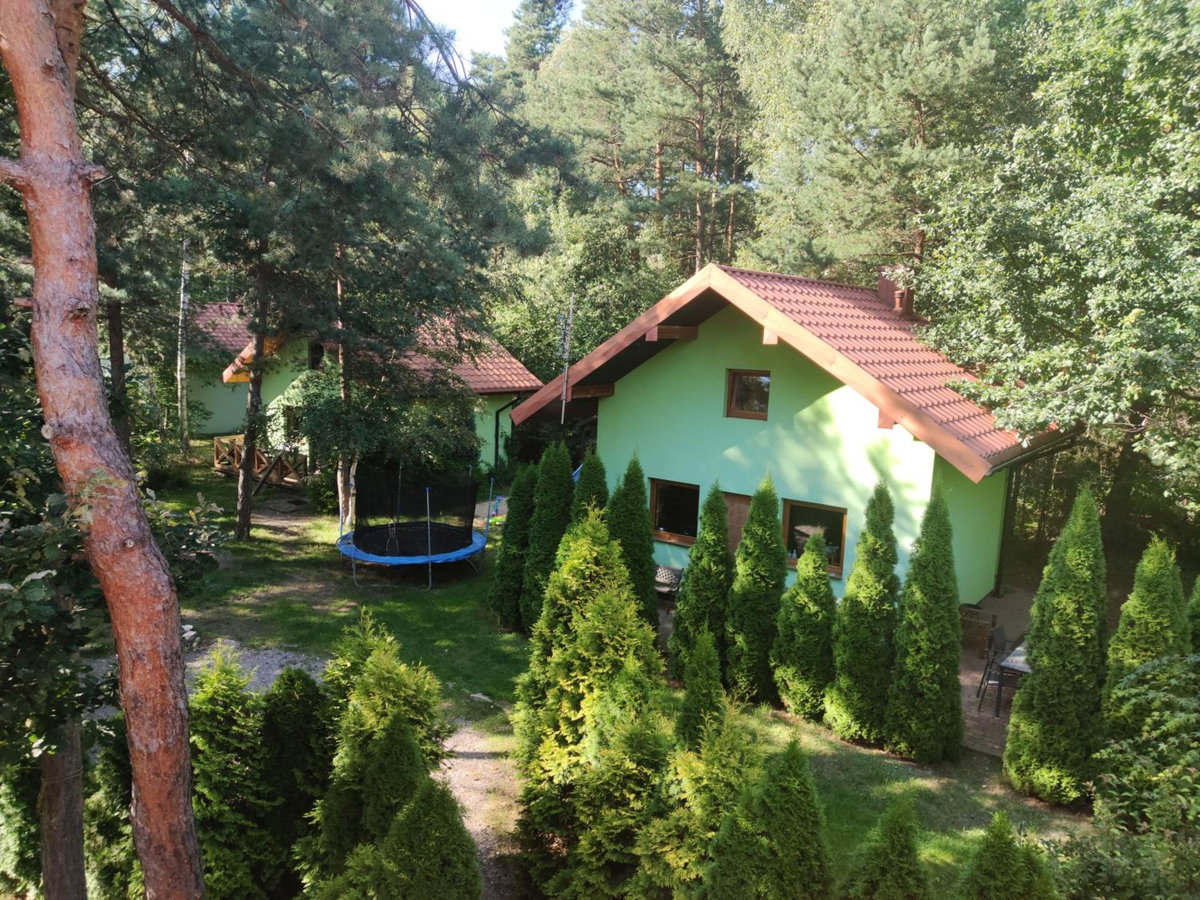 niezapominajka-jura, Poland
