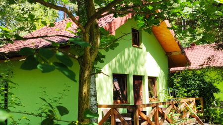 niezapominajka-jura, Niegowa, Poland