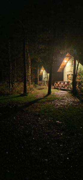 niezapominajka-jura, Niegowa, Poland
