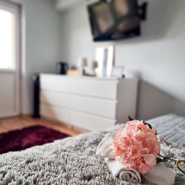 Fredry 15F, Kraków, Poland