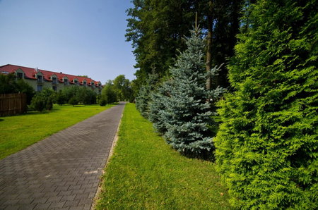 Ośrodek Delfin, Dąbki, Poland