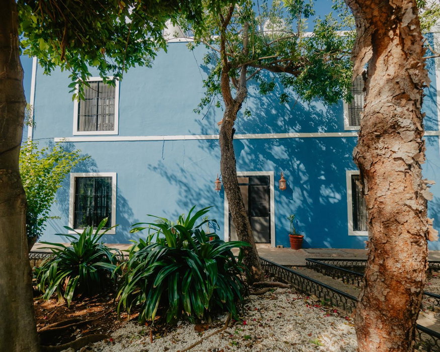Nido Colibrí - Private Rooms and hostel Dorms in Remate de Paseo Montejo, Mérida, Mexico