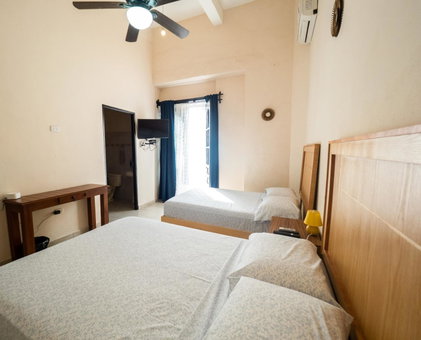 Nido Colibrí - Private Rooms and hostel Dorms in Remate de Paseo Montejo, Mérida, Mexico