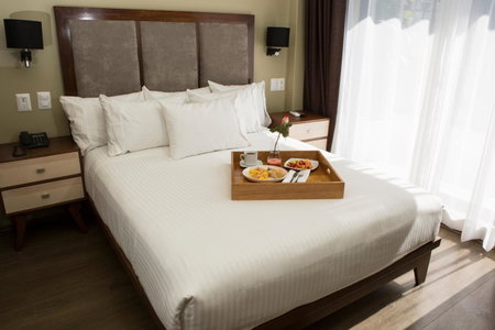 Suites Lerma 205, Mexico City, Mexico