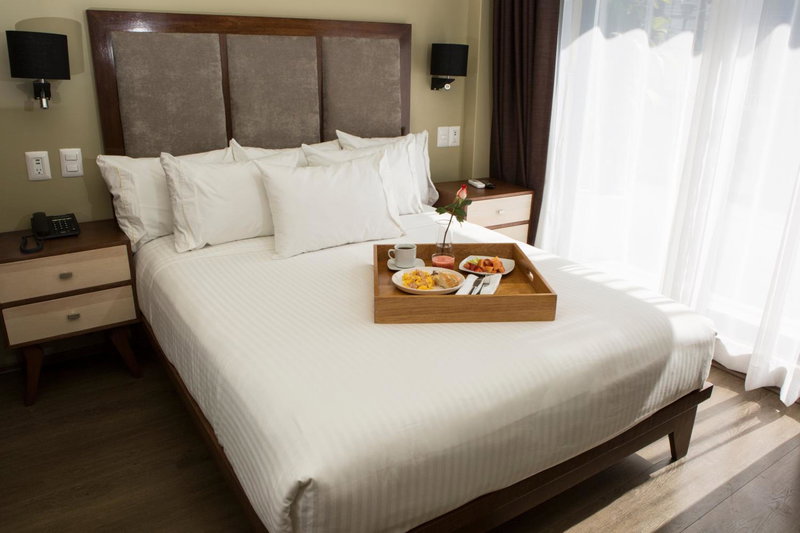 Suites Lerma 205, Mexico City, Mexico