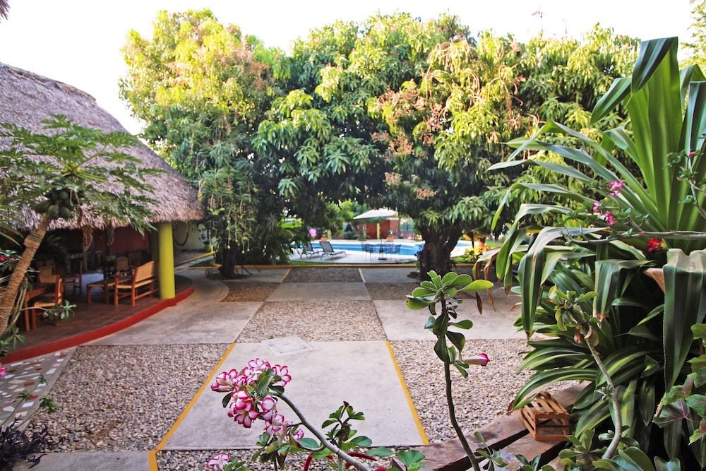 Casa Losodeli & Coworking - Adults Only - Hostel, Mexico