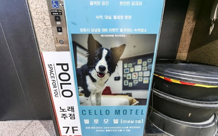 Changwon Sangnam-dong Cello, Changwon, South Korea