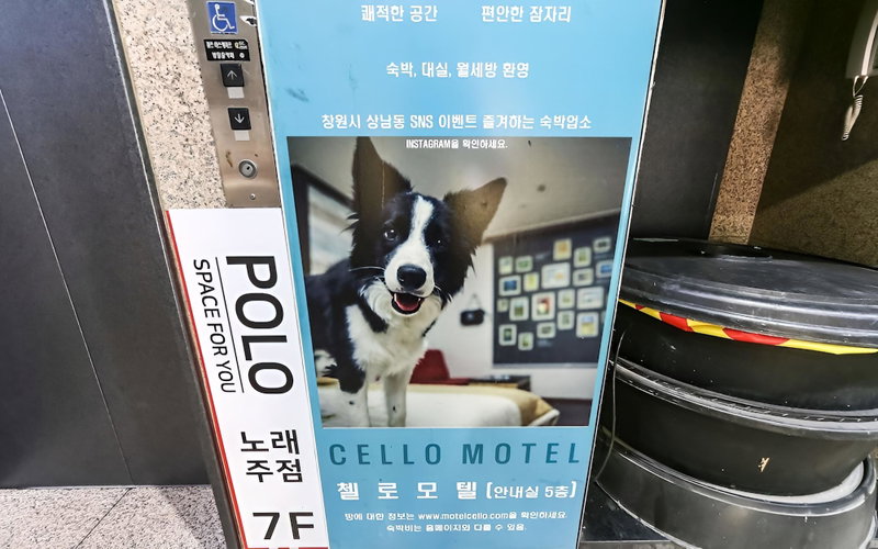 Changwon Sangnam-dong Cello, Changwon, South Korea