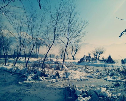 Kings Houseboats, Srinagar, India