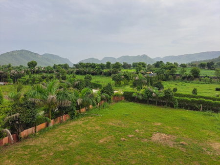 Green Valley Sariska, Tehla, India