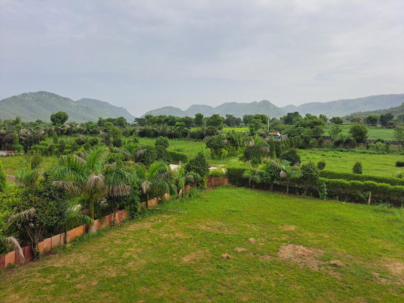 Green Valley Sariska, Tehla, India
