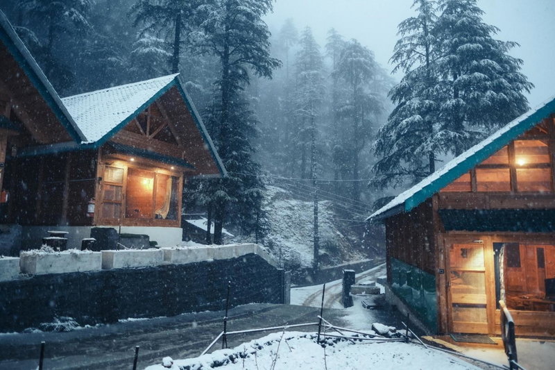 Wolfandwoods, Khajjiar, India