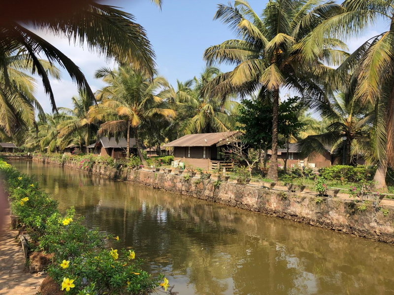 Resort Primo Bom Terra Verde, Baga, India
