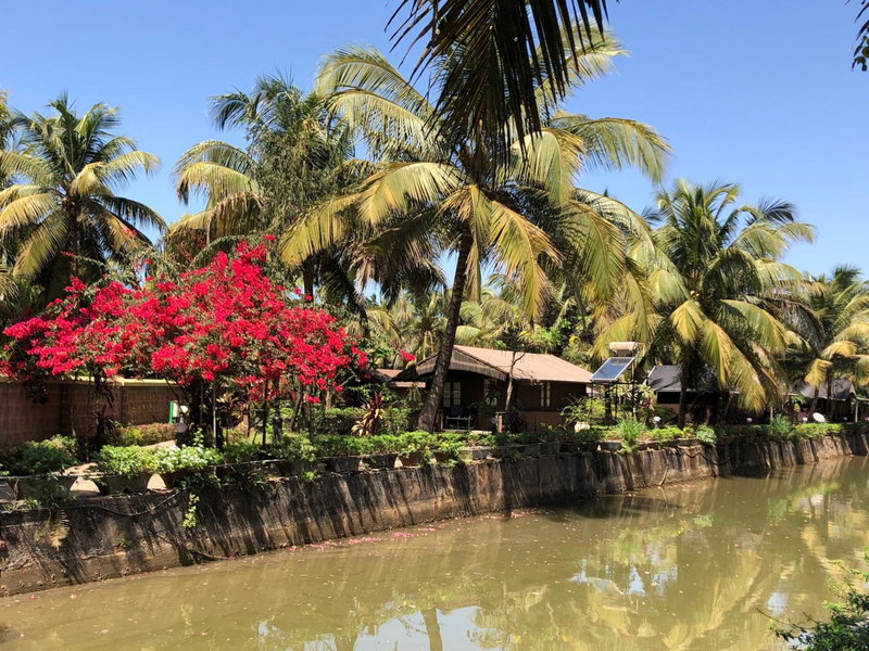 Resort Primo Bom Terra Verde, Baga, India
