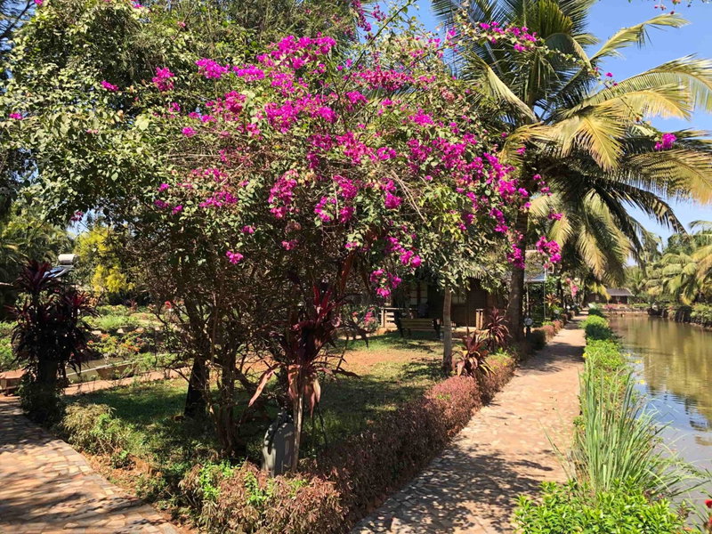 Resort Primo Bom Terra Verde, Baga, India