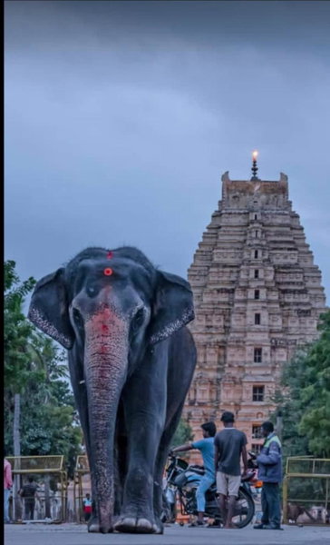 Temple View Guest House, Hampi, India