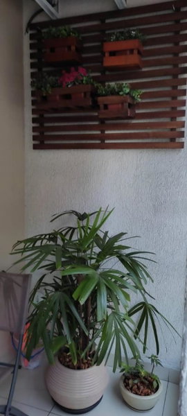 Hospedagem Quarto Chic centro Cunha, Cunha, Brazil