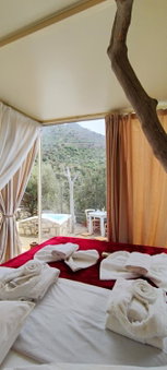 Kamihis Farm House Experience, Zarós, Greece