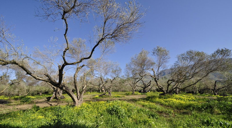 Labyrinth Studios, Plakias, Greece