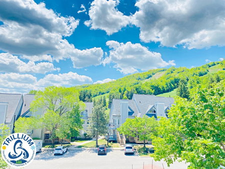 Blue Mountain Suites, Blue Mountains, Canada