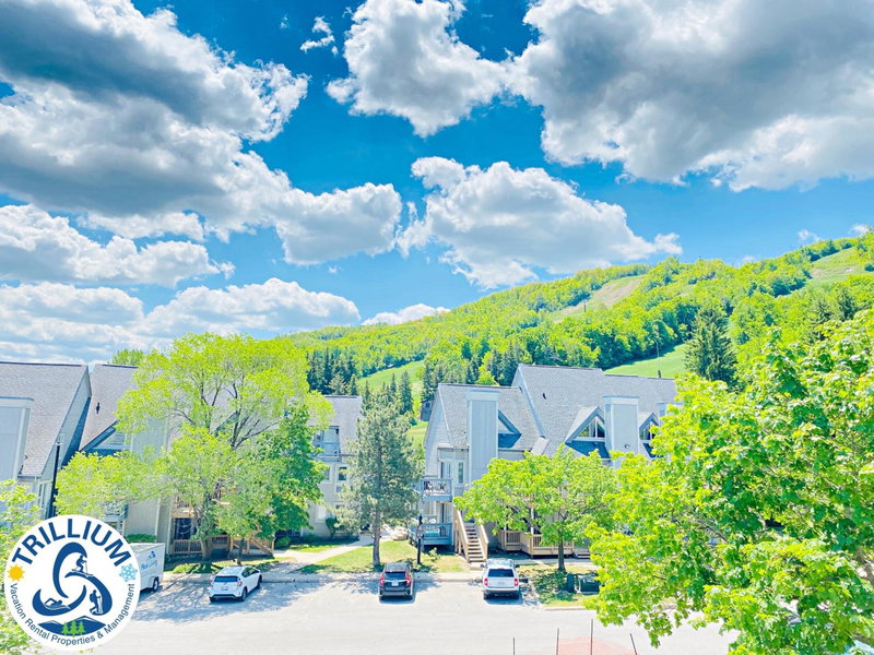 Blue Mountain Suites, Blue Mountains, Canada