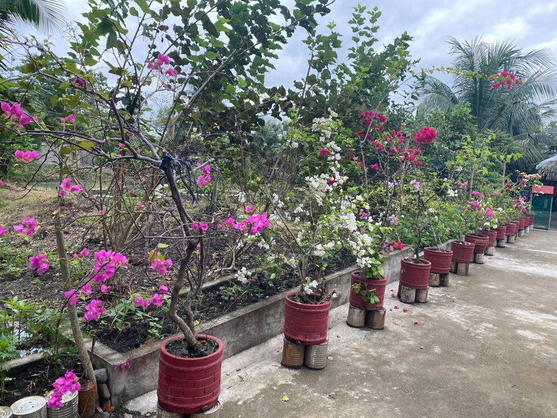 The Family Farm Stay, Cauayan City, Philippines