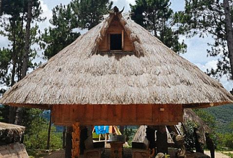 RedDoorz at Bilza Lodge Sagada, Sagada, Philippines