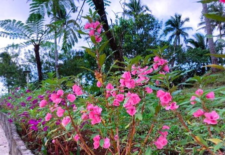 BALAI BANAHAW Vacation Farm and Private Resort, Lucban, Philippines
