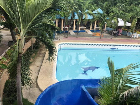 RedDoorz at Villa Asela A Garden Resort Cordova FORMER RedDoorz Near Gaisano Grand Cordova, Cebu City, Philippines
