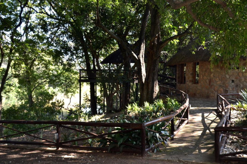 Moholoholo Ya Mati, Kampersrus AH, South Africa