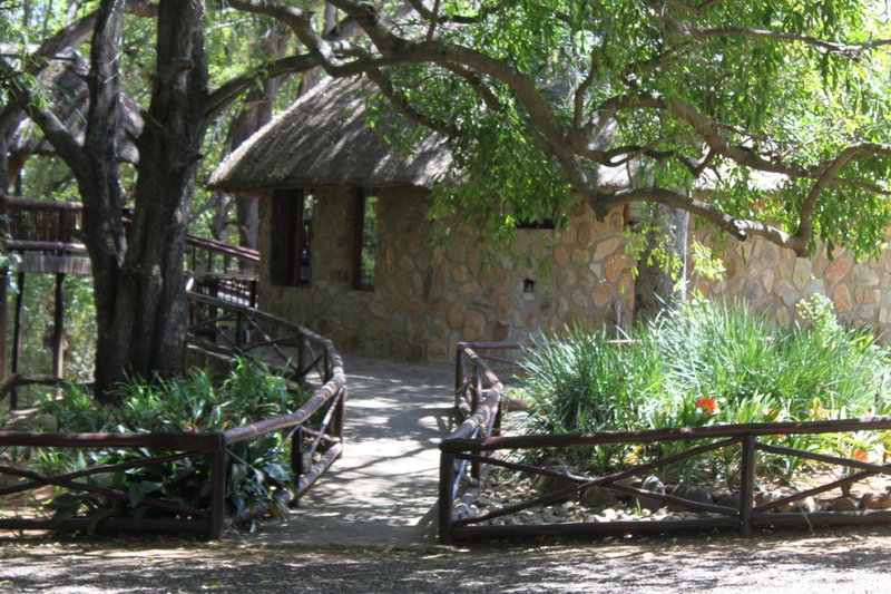 Moholoholo Ya Mati, Kampersrus AH, South Africa
