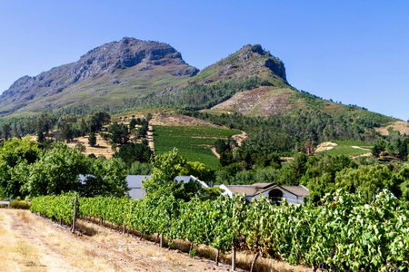 Zorgvliet Wines Country Lodge, Stellenbosch, South Africa