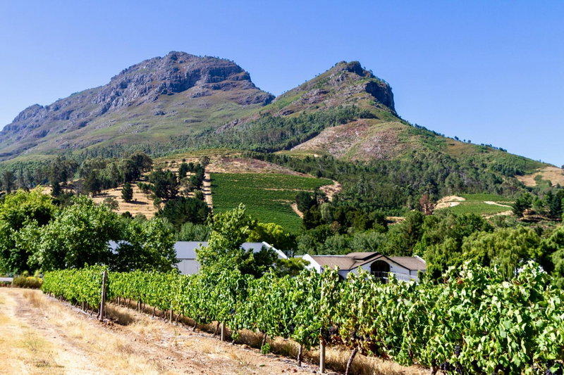 Zorgvliet Wines Country Lodge, Stellenbosch, South Africa