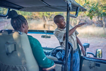Dinkweng Safari Camp, Vaalwater, South Africa